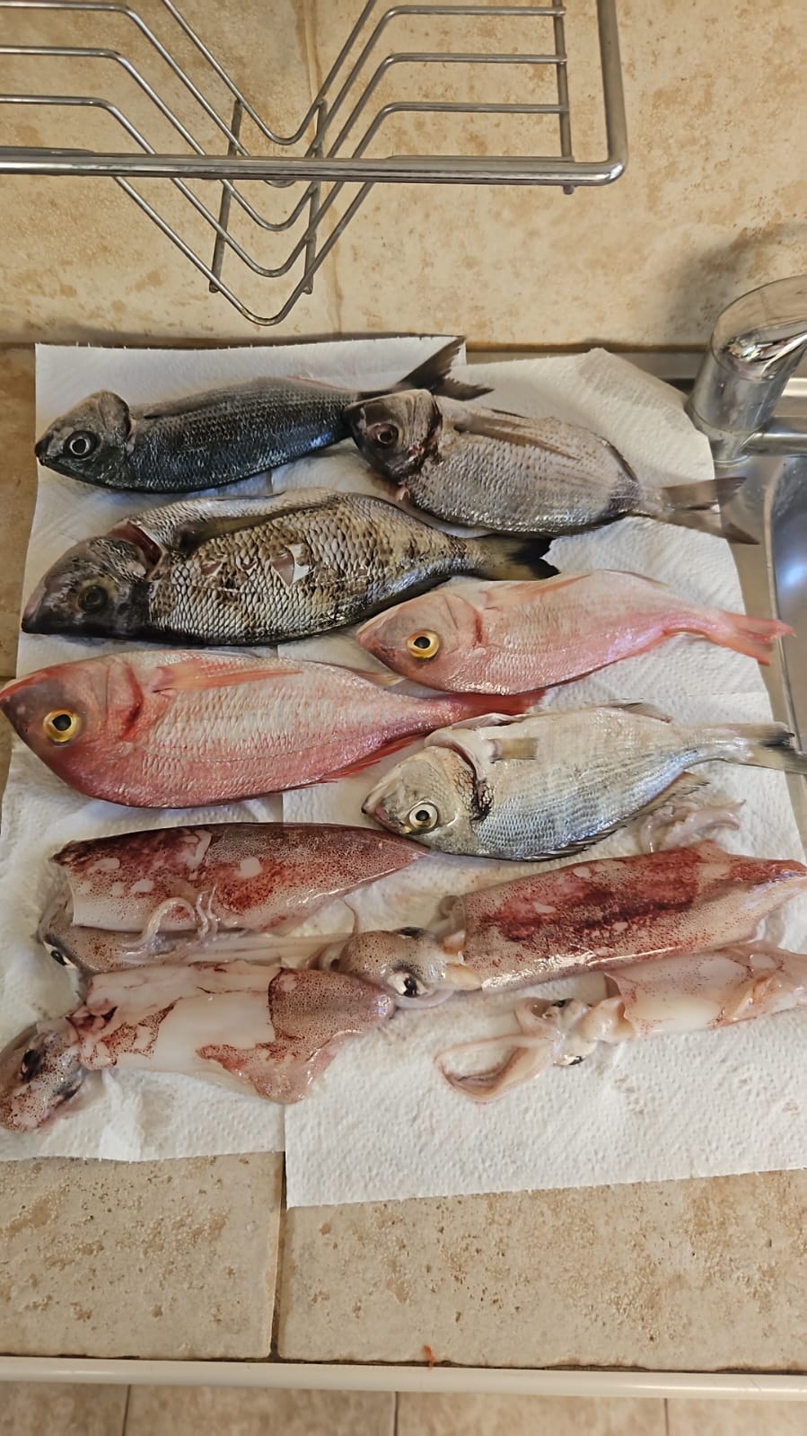 Traditional Fishing in Omiš: Experience the Adriatic Like a Local